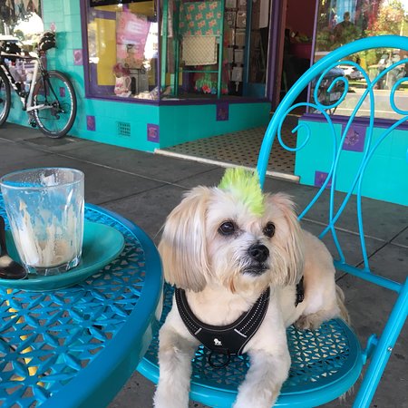 Amber Sweet Bliss - Go Out 0