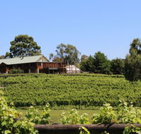 djinta djinta Winery - Pubs and Clubs