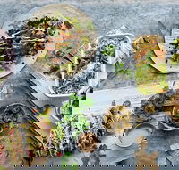 Zambrero Waterloo - Pubs and Clubs