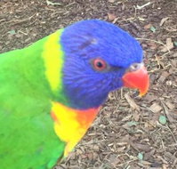 Fish 'n' Bits - Go Out