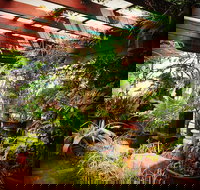 Provence Garden Cafe - Go Out