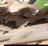 The Bean Hub  Co. - Pubs and Clubs