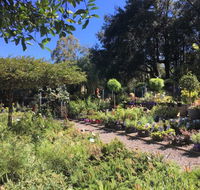 Yatte Yattah Nursery  Cafe - Go Out