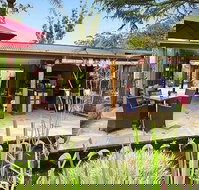 Bamboo Buddha - Go Out