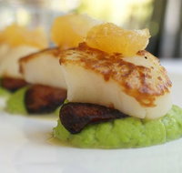 Elements at the Gardens - Go Out