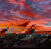 Thirsty Crow Brewing Co. - Go Out