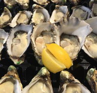 The Oyster Shed - Go Out