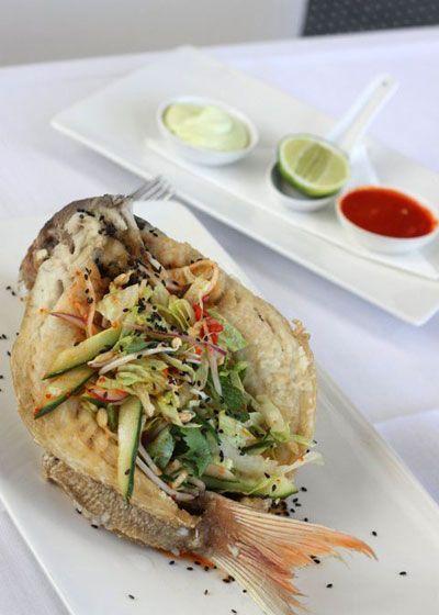 Elephant Rock Cafe Bar & Restaurant - Pubs and Clubs 14