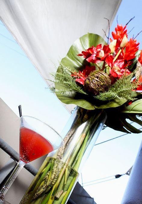 Elephant Rock Cafe Bar & Restaurant - Pubs and Clubs 1