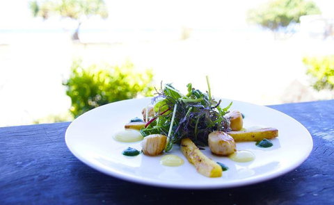 Elephant Rock Cafe Bar & Restaurant - Pubs and Clubs 23