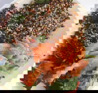 Amillys Cafe - Go Out