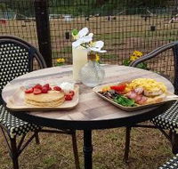 Kurrajong Bark Park and Cafe BCM - Go Out