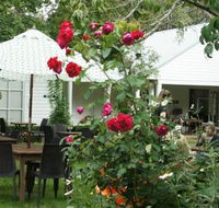 Sturt Coffee - Pubs and Clubs