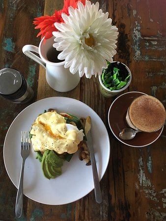 Springfield NSW Pubs and Clubs