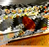 Freewave Sushi  Burgers - Go Out