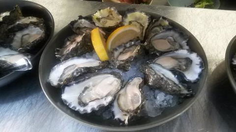 Hamilton's Oyster Bar - Go Out 0