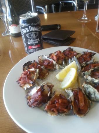 Newcastle Cruising Yacht Club - Go Out 0