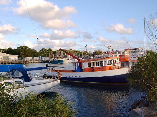 Woody Head NSW Go Out