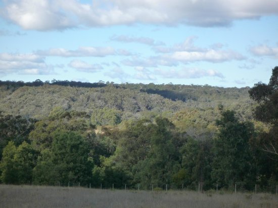 Canyonleigh NSW Go Out