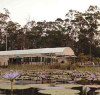 Abundance Cafe and Garden Centre - Go Out