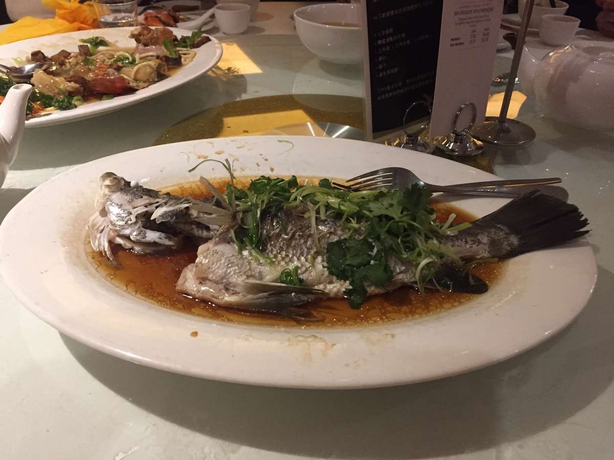 Denistone West NSW Pubs and Clubs