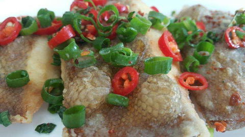 Chef's Choice - Go Out 0