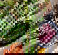 D For Dumplings - Pubs and Clubs