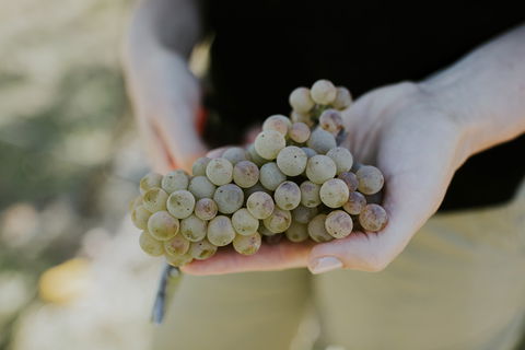 Rowlee Vine To Table Experience - Go Out 1
