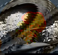 Schnitz - Broadbeach - Go Out