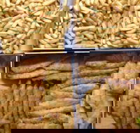 Sunshine Deli Snack Bar - Go Out