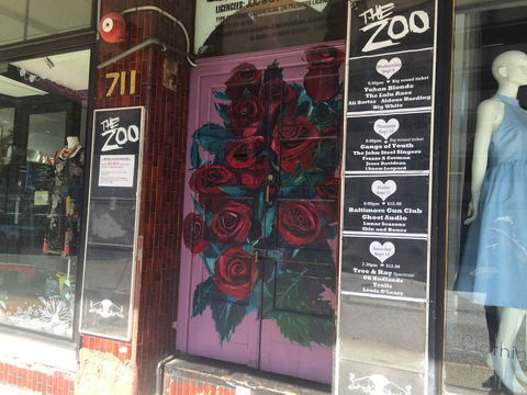 The Zoo - Pubs and Clubs 0