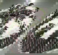 Caf Siciliadolce Pasticceria - Pubs and Clubs