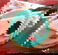 Curl the Whisker Cafe - Go Out