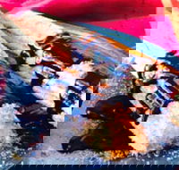 Donut King - Blackburn - Go Out