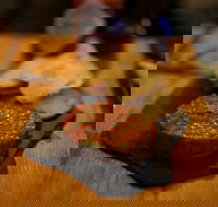 Hell of the North - Pubs and Clubs