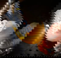 Hope Estate Brewery - Go Out