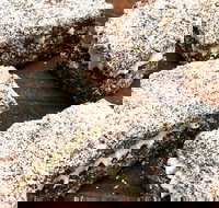 Infinity Bakery - Paddington - Go Out