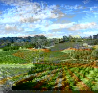 Kellybrook Winery and Kelly Brothers Cider - Go Out