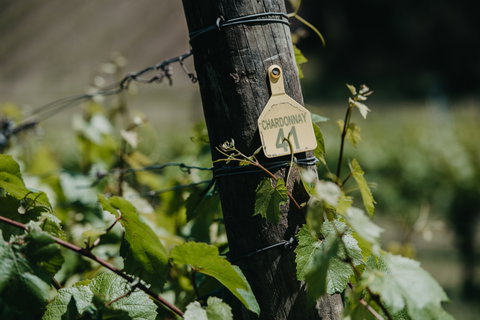 Kellybrook Winery And Kelly Brothers Cider - Go Out 2