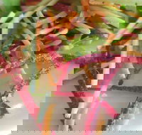 Port Kennedy Tavern - Pubs and Clubs