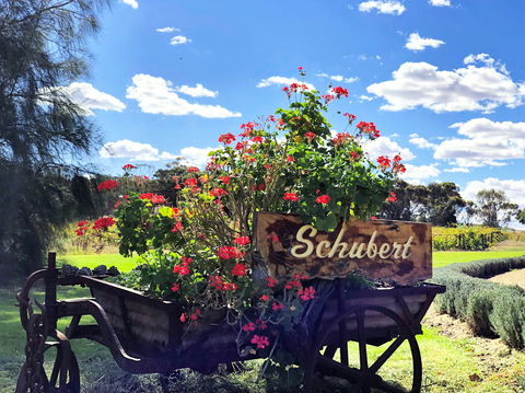Schubert Estate - Go Out 2