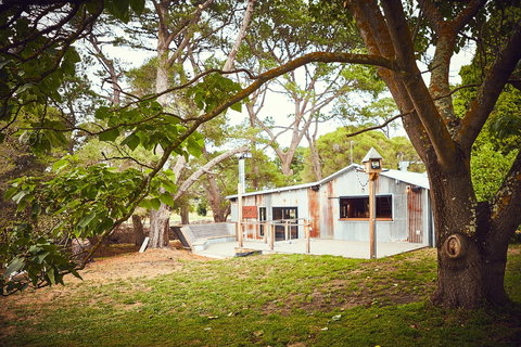 The Whiskery - Go Out 0