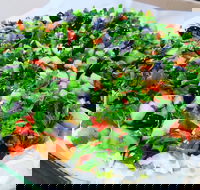 Campsie Lebanese Bakery - Go Out