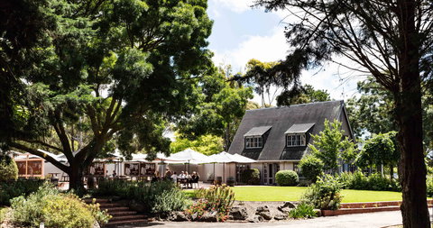 Scotchmans Hill - Go Out 0