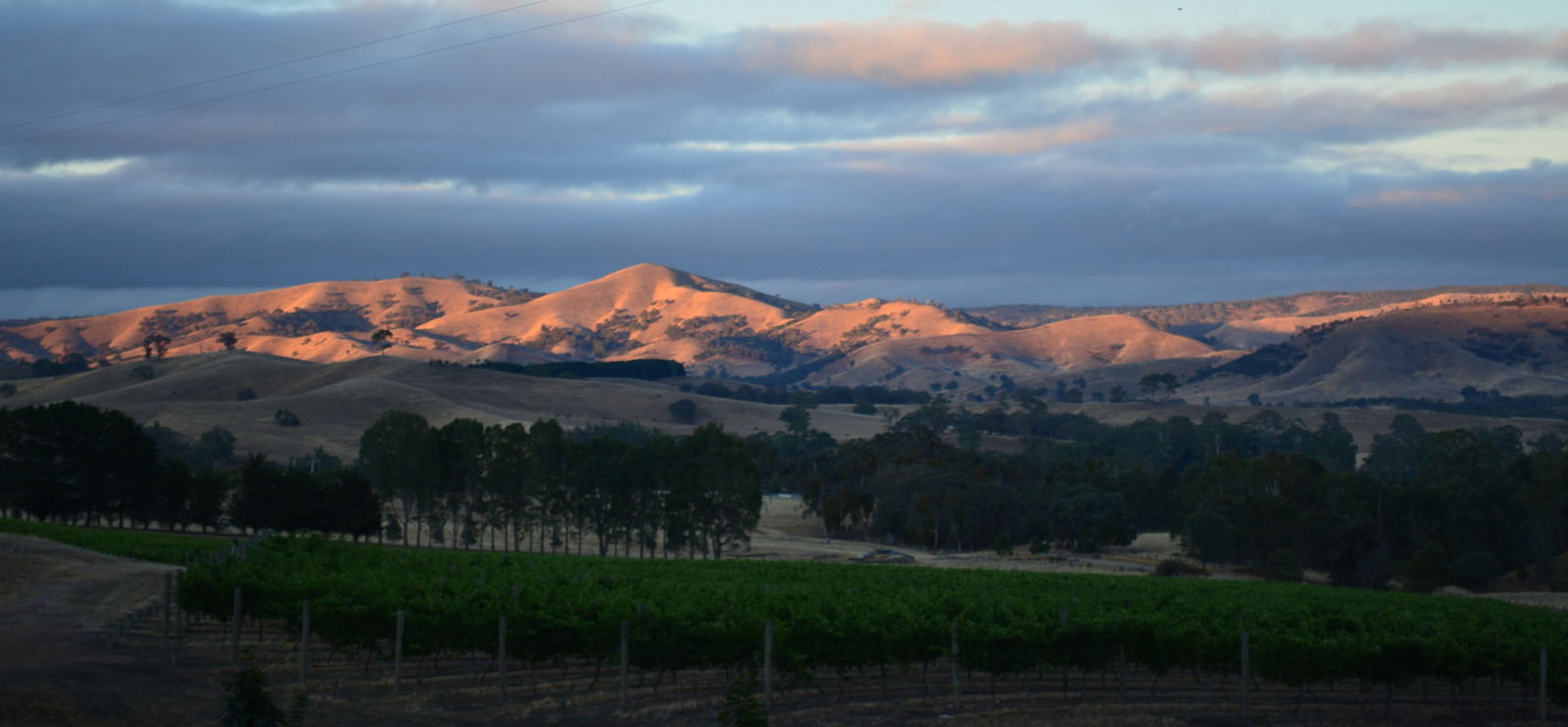 Murrindindi VIC Go Out