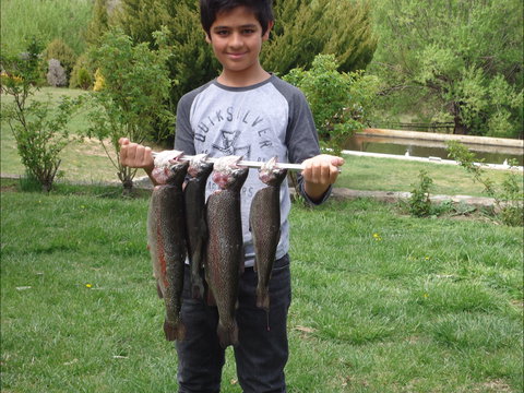 Eucumbene Trout Farm - Go Out 1