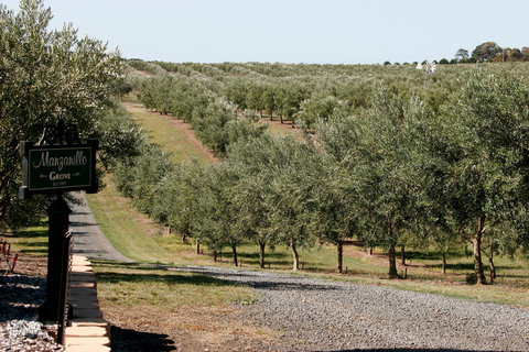 Manzanillo Grove - Go Out 1