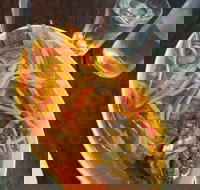 Mix and match - Go Out