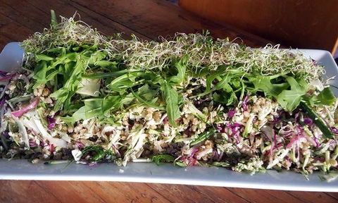 The Lithgow Tin Shed - Go Out 4