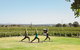 Calabria Family Wines Barossa - thumb 1